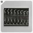 1-93_Eadweard-Muybridge_canvas