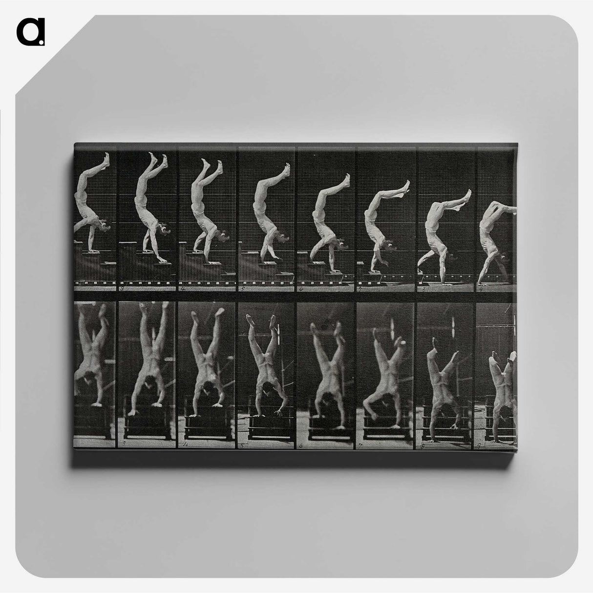1-93_Eadweard-Muybridge_canvas