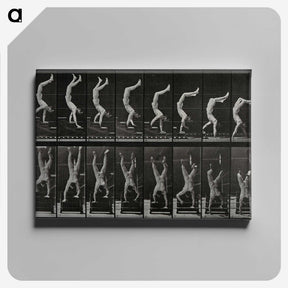 1-93_Eadweard-Muybridge_canvas