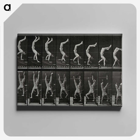 1-93_Eadweard-Muybridge_canvas