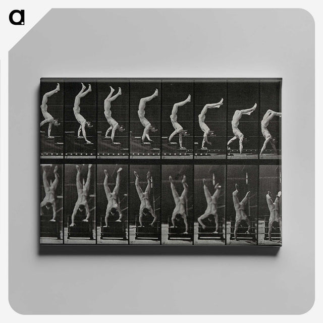 1-93_Eadweard-Muybridge_canvas