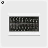 アートポストカード-Handstand
 - エドワード マイブリッジ Postcard.