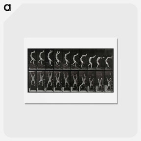 アートポストカード-Handstand
 - エドワード マイブリッジ Postcard.