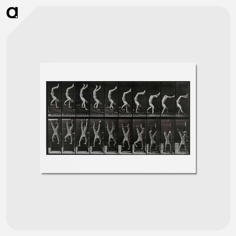 アートポストカード-Handstand
 - エドワード マイブリッジ Postcard.