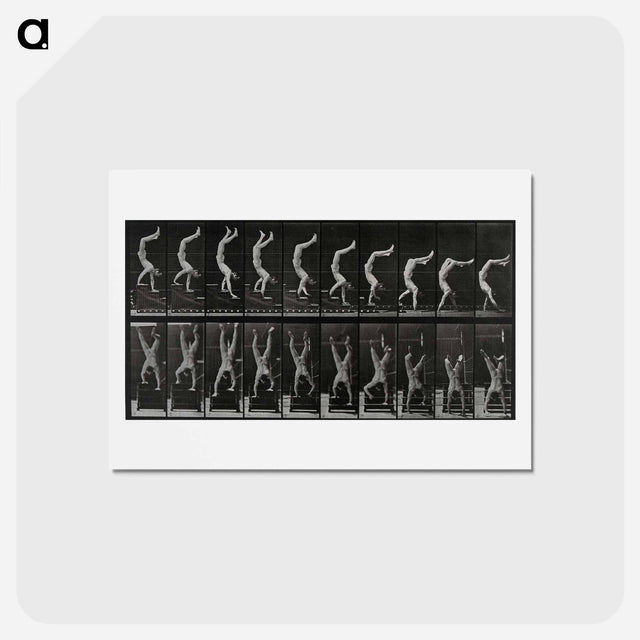 アートポストカード-Handstand
 - エドワード マイブリッジ Postcard.