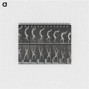 1-93_Eadweard-Muybridge_memo