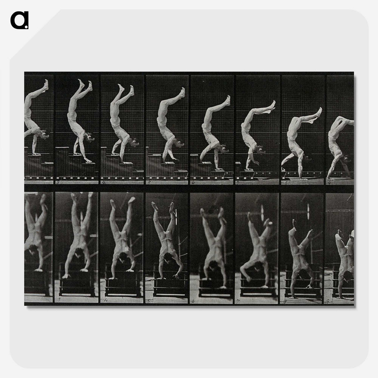 1-93_Eadweard-Muybridge_picture-crop