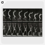 1-93_Eadweard-Muybridge_picture-crop