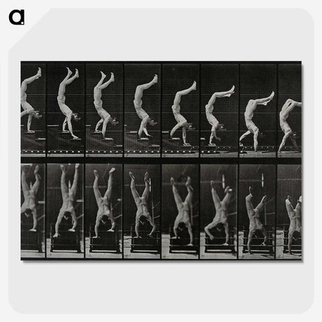 1-93_Eadweard-Muybridge_picture-crop