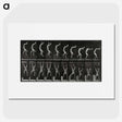 1-93_Eadweard-Muybridge_picture