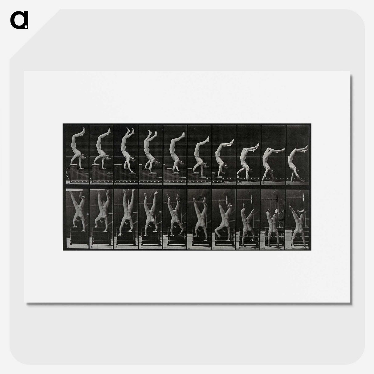 1-93_Eadweard-Muybridge_picture