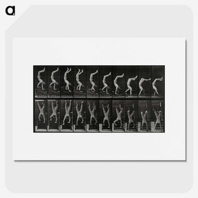 1-93_Eadweard-Muybridge_picture