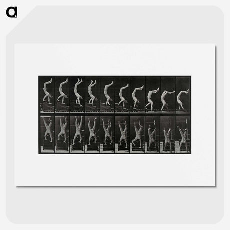 1-93_Eadweard-Muybridge_picture