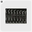 1-93_Eadweard-Muybridge_postcard