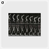 アートポストカード-Handstand
 - エドワード マイブリッジ Postcard.