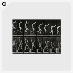 1-93_Eadweard-Muybridge_postcard