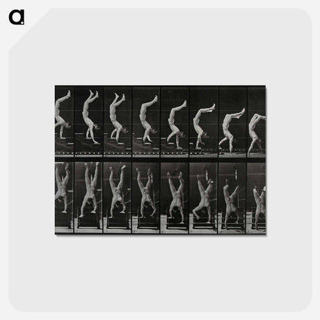アートポストカード-Handstand
 - エドワード マイブリッジ Postcard.