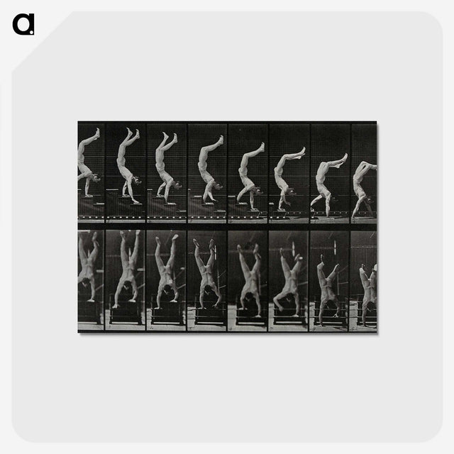 1-93_Eadweard-Muybridge_postcard