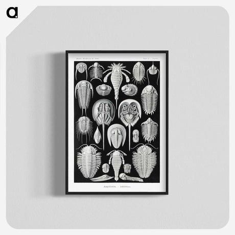 1-93_Ernst-Haeckel_blk-crop