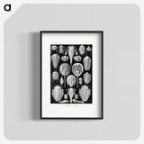 1-93_Ernst-Haeckel_blk