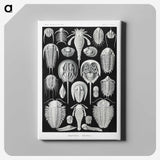 1-93_Ernst-Haeckel_canvas
