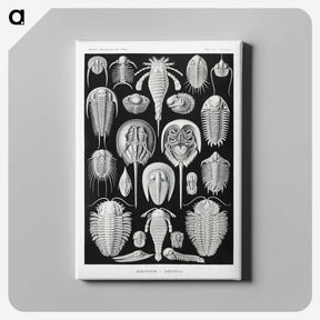 1-93_Ernst-Haeckel_canvas
