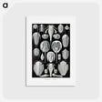 アートポストカード-Aspidonia–Schildtiere from Kunstformen der Natur - エルンスト ヘッケル Postcard.