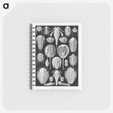 1-93_Ernst-Haeckel_memo