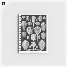 1-93_Ernst-Haeckel_memo