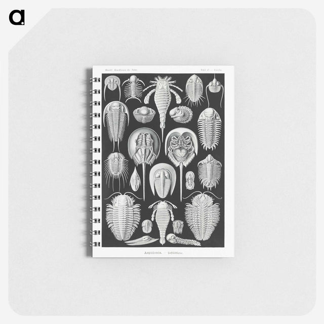 1-93_Ernst-Haeckel_memo