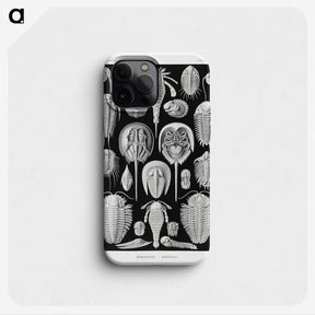 1-93_Ernst-Haeckel_phone