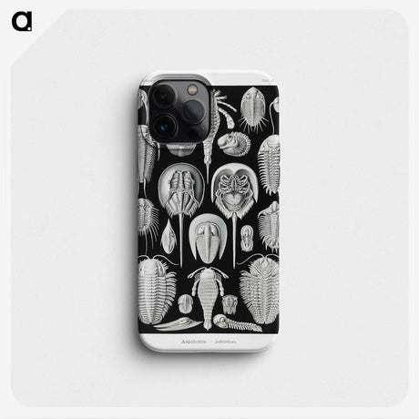 1-93_Ernst-Haeckel_phone