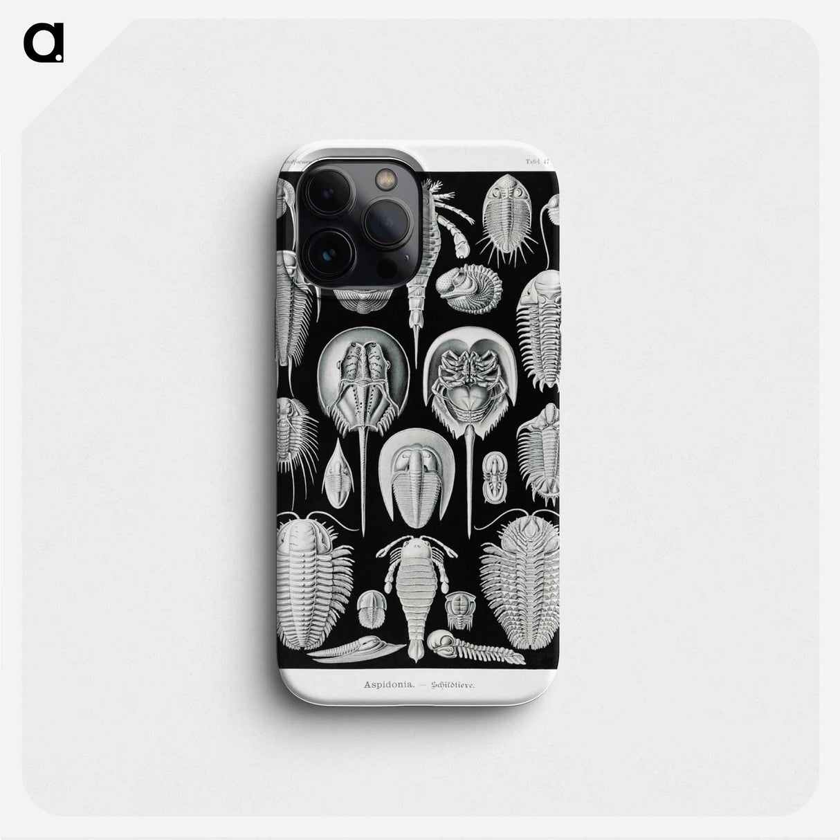 Aspidonia–Schildtiere from Kunstformen der Natur - エルンスト ヘッケル Phone Case.