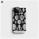 Aspidonia–Schildtiere from Kunstformen der Natur - エルンスト ヘッケル Phone Case.