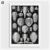 1-93_Ernst-Haeckel_picture-crop