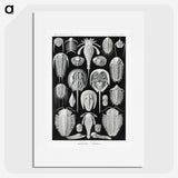 1-93_Ernst-Haeckel_picture
