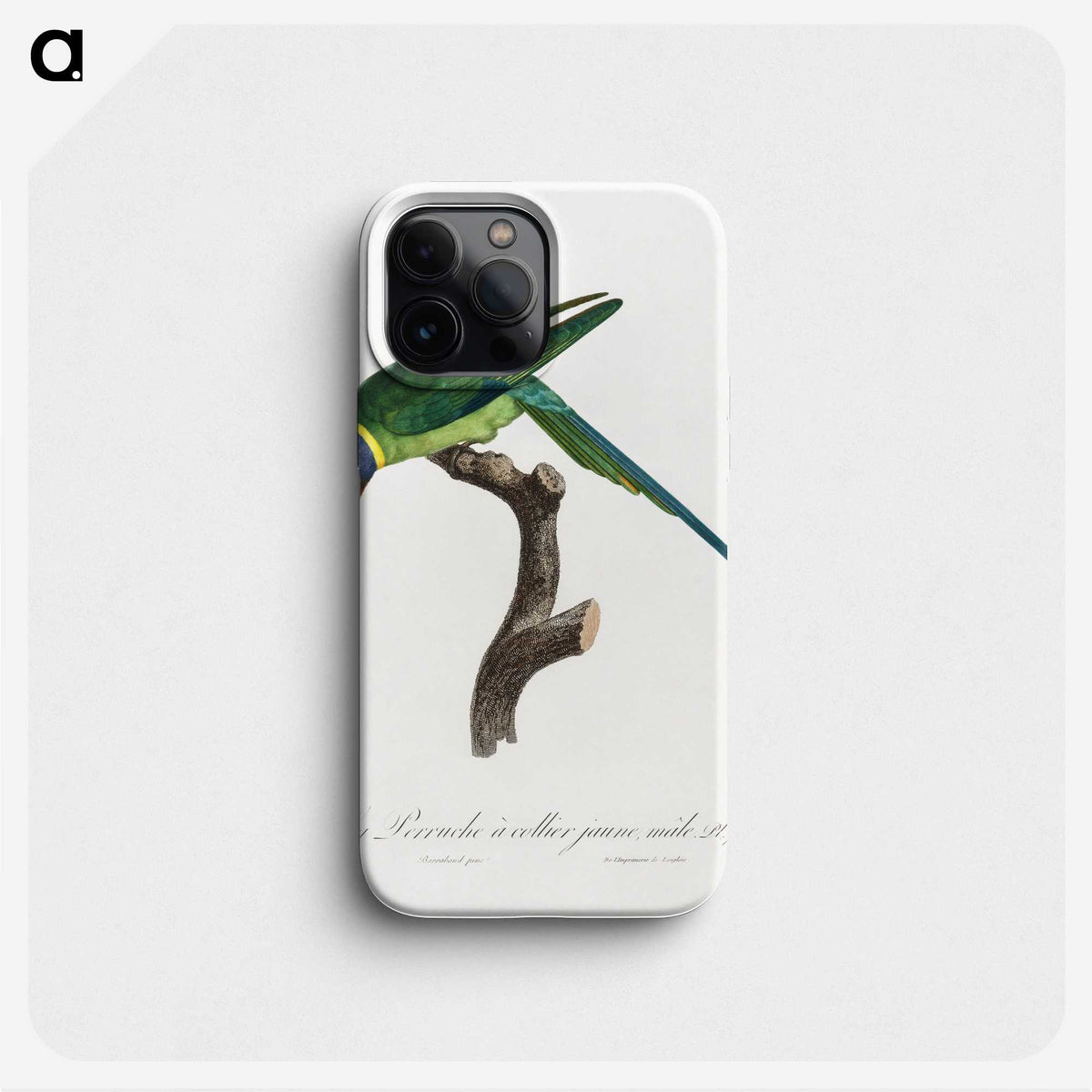 1-93_Francois-Levaillant_phone