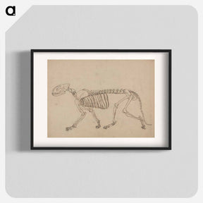 アートポスター-Tiger Skeleton, Lateral View
 - ジョージ スタッブス Poster.