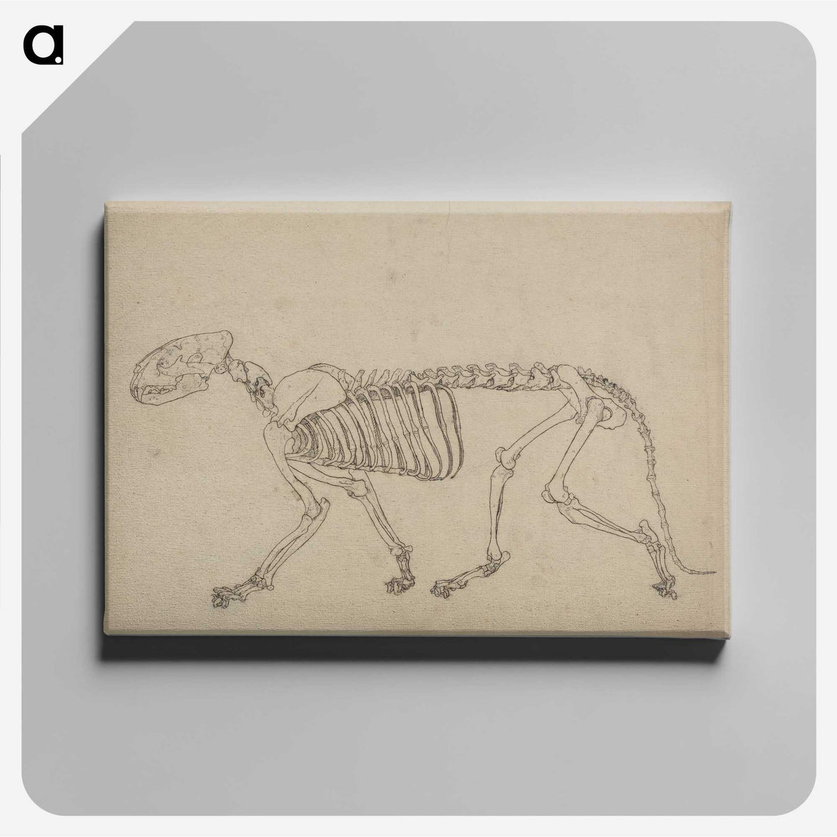 1-93_George-Stubbs_canvas