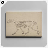 1-93_George-Stubbs_canvas