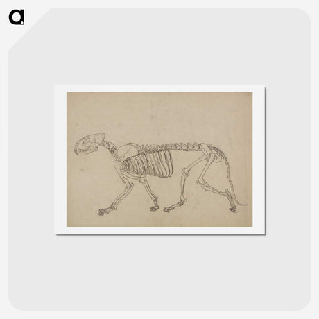 1-93_George-Stubbs_hagaki