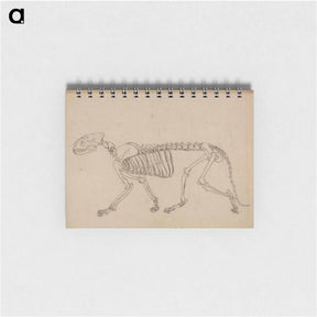 アートメモ帳-Tiger Skeleton, Lateral View
 - ジョージ スタッブス Memo.