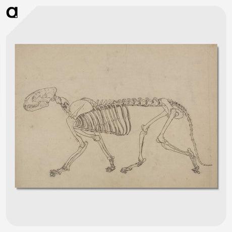 1-93_George-Stubbs_picture-crop