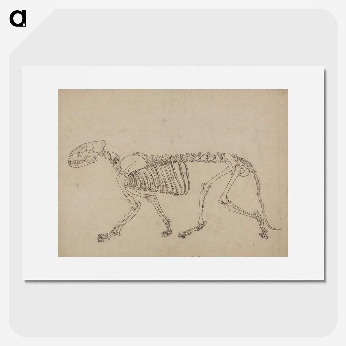 1-93_George-Stubbs_picture