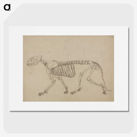 1-93_George-Stubbs_picture