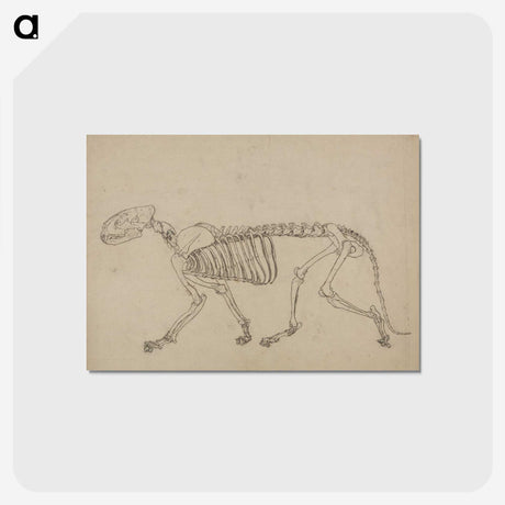1-93_George-Stubbs_postcard