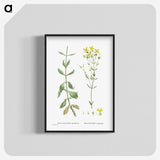 1-93_Histoire-des-Plantes-Grasses_blk-crop