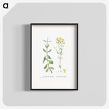1-93_Histoire-des-Plantes-Grasses_blk