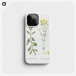 1-93_Histoire-des-Plantes-Grasses_phone