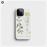 1-93_Histoire-des-Plantes-Grasses_phone